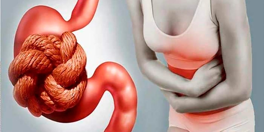 31-03-19-estreimiento